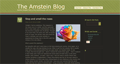 Desktop Screenshot of amstein.us