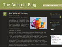 Tablet Screenshot of amstein.us